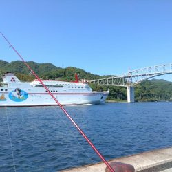 境水道のキス釣査