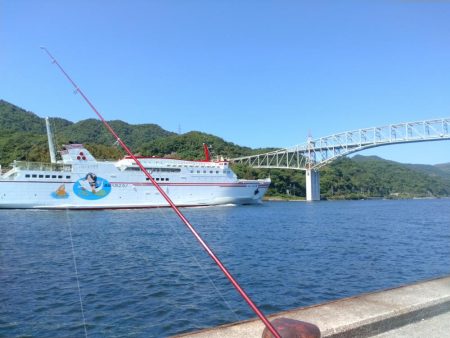 境水道のキス釣査
