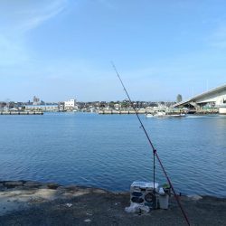 買い物待ち釣行