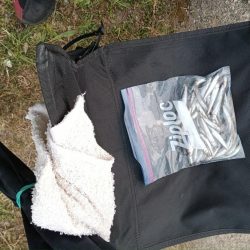 2024/05/19 大阪市内河川 稚鮎釣り