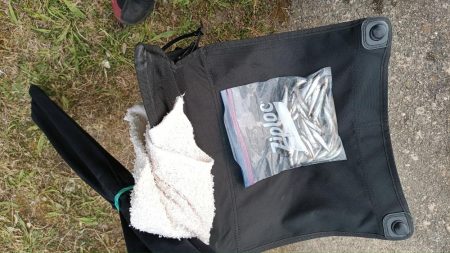 2024/05/19 大阪市内河川 稚鮎釣り