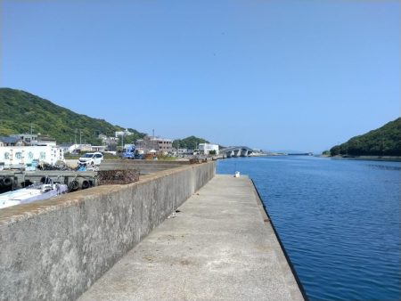 淡路島キスの活性調査