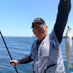 播磨新島のキス釣果