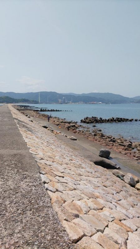 片男波はまだまだ数が少ない