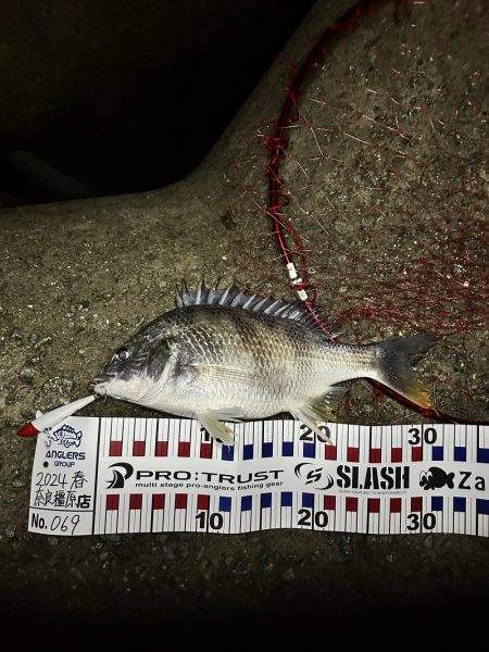 シーバス渋いー