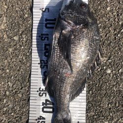 年無し10匹‼️