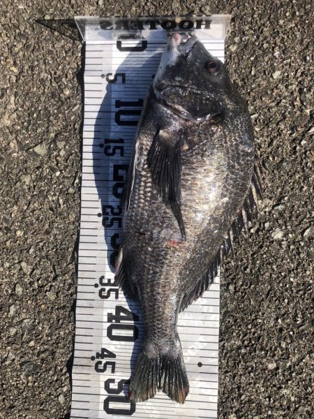 年無し10匹‼️