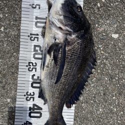 イチノ兄弟、釣果!