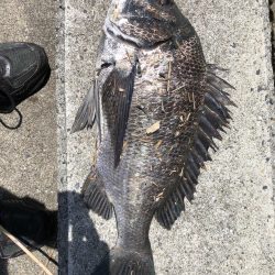 イチノ兄弟、釣果!