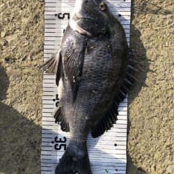 イチノ兄弟、釣果!