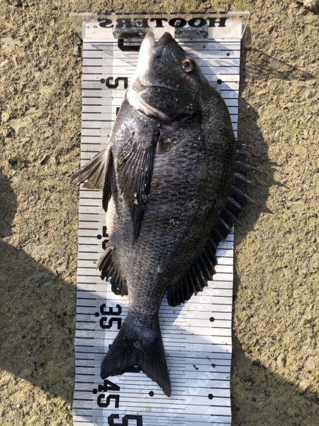 イチノ兄弟、釣果!