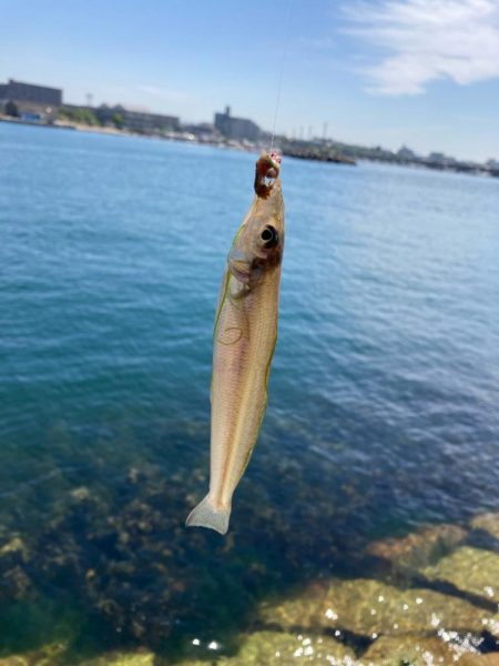 東二見釣行！