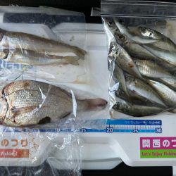 キス、アジ釣り、五目釣り