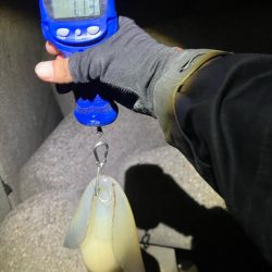 春🦑開幕!\(^o^)/