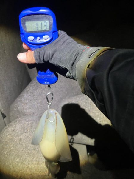 春🦑開幕!\(^o^)/