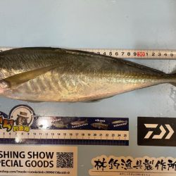 バチコンアジング