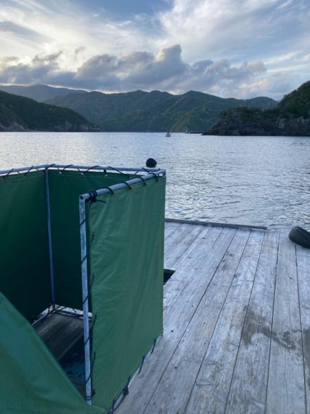 ヤエン釣り初キロover2杯良型2杯