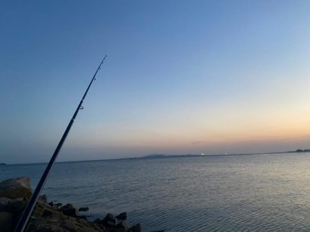 渋ギスタのちょい釣り