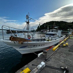 イサキ&ネギング釣行