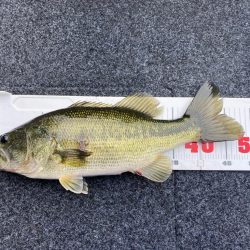 1日ボート釣行!