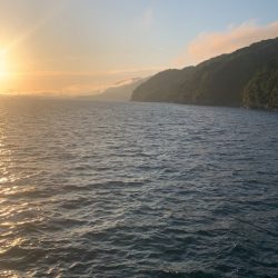 一年以上ぶりに来てみたら値上がりしてました!