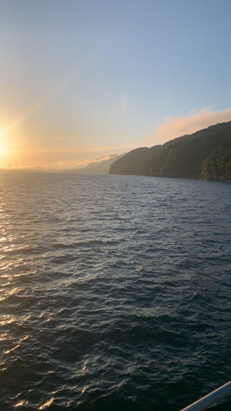 一年以上ぶりに来てみたら値上がりしてました!