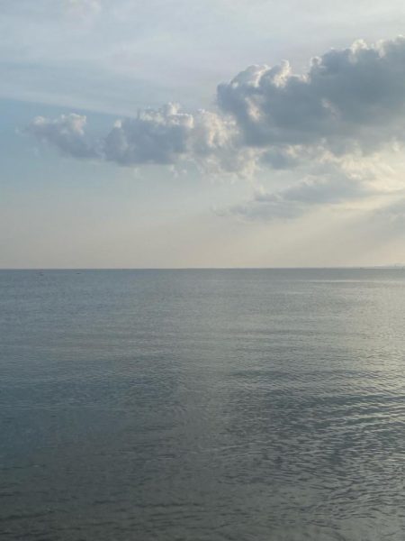 ヒラメとキジハタ