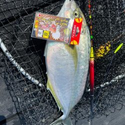 カタタの釣堀で爆釣