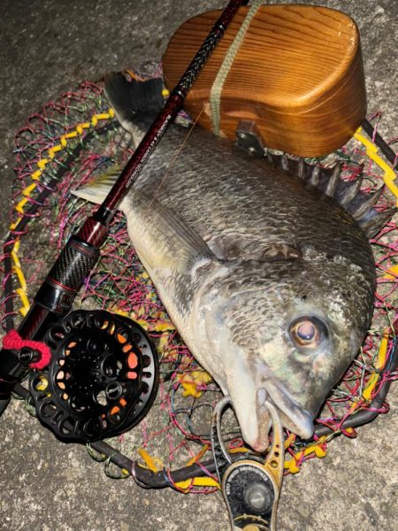 ヘチってきました