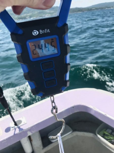 淡路のタコ釣り