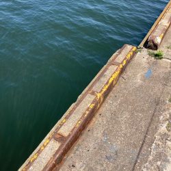 ⭐️久しぶり手応え