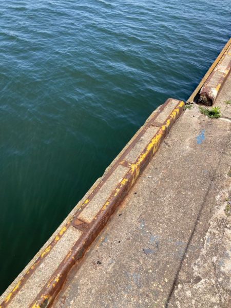 ⭐️久しぶり手応え