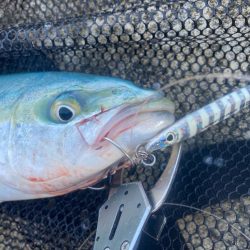 2024ライトゲーム第18戦