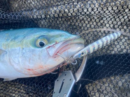 2024ライトゲーム第18戦