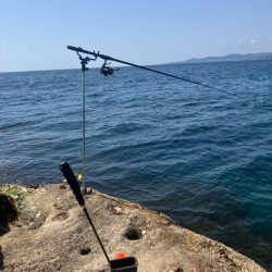 磯で乗っ込みチヌ釣り