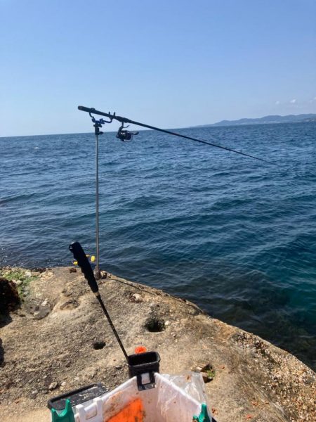 磯で乗っ込みチヌ釣り