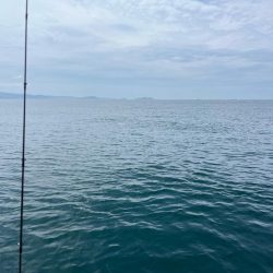 タコとアマダイ釣り