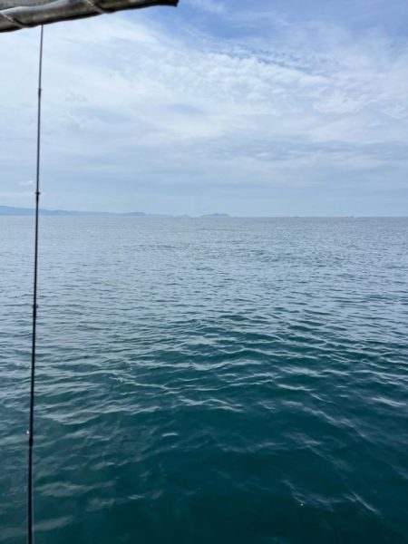 タコとアマダイ釣り