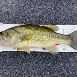 1日ボート釣行！