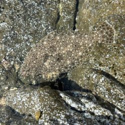 Gw★毎年恒例四国遠征!!!!!!!!!!