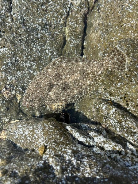 Gw★毎年恒例四国遠征!!!!!!!!!!