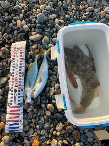 ヒラメ、真鯛等四目達成