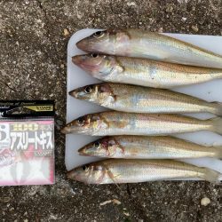 爆風東二見釣行！