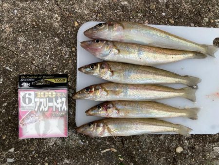 爆風東二見釣行！