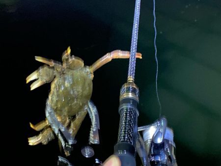 ナイト五目釣り