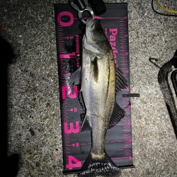 ライトゲームタックルシーバスゲーム