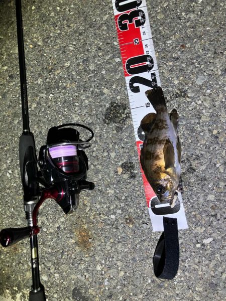 メバリングイベントだとー?