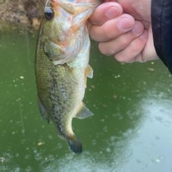 午前中ボート釣行！