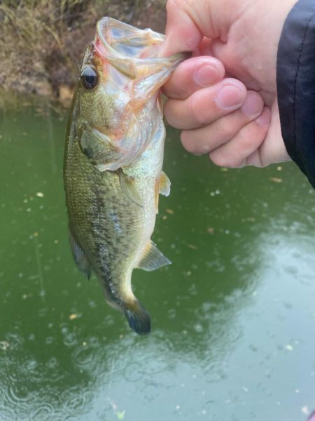 午前中ボート釣行！