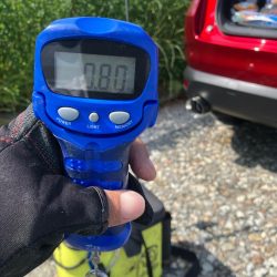 春🦑2杯目GET (^.^)